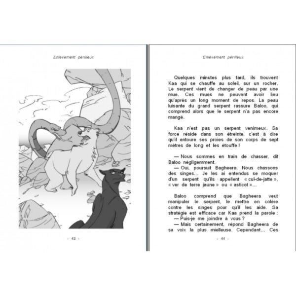 Le Livre de la Jungle – Image 2
